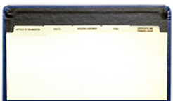 Corporate Kit (Blue) - Binder, Slipcase, Minutes & Bylaws, Stock  Certificates, Index Tabs & Metal Corporate Seal